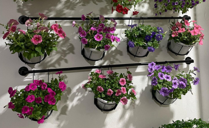 Adubação de Petúnias: Qual o Melhor Fertilizante para uma Floração Intensa?