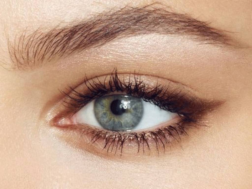 Guia Completo de Pincéis Essenciais para Esfumado Perfeito