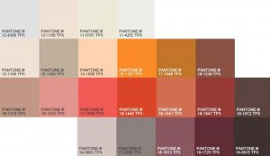 Tendências de Cores Terrosas para 2024/2025: O Que Você Precisa Saber