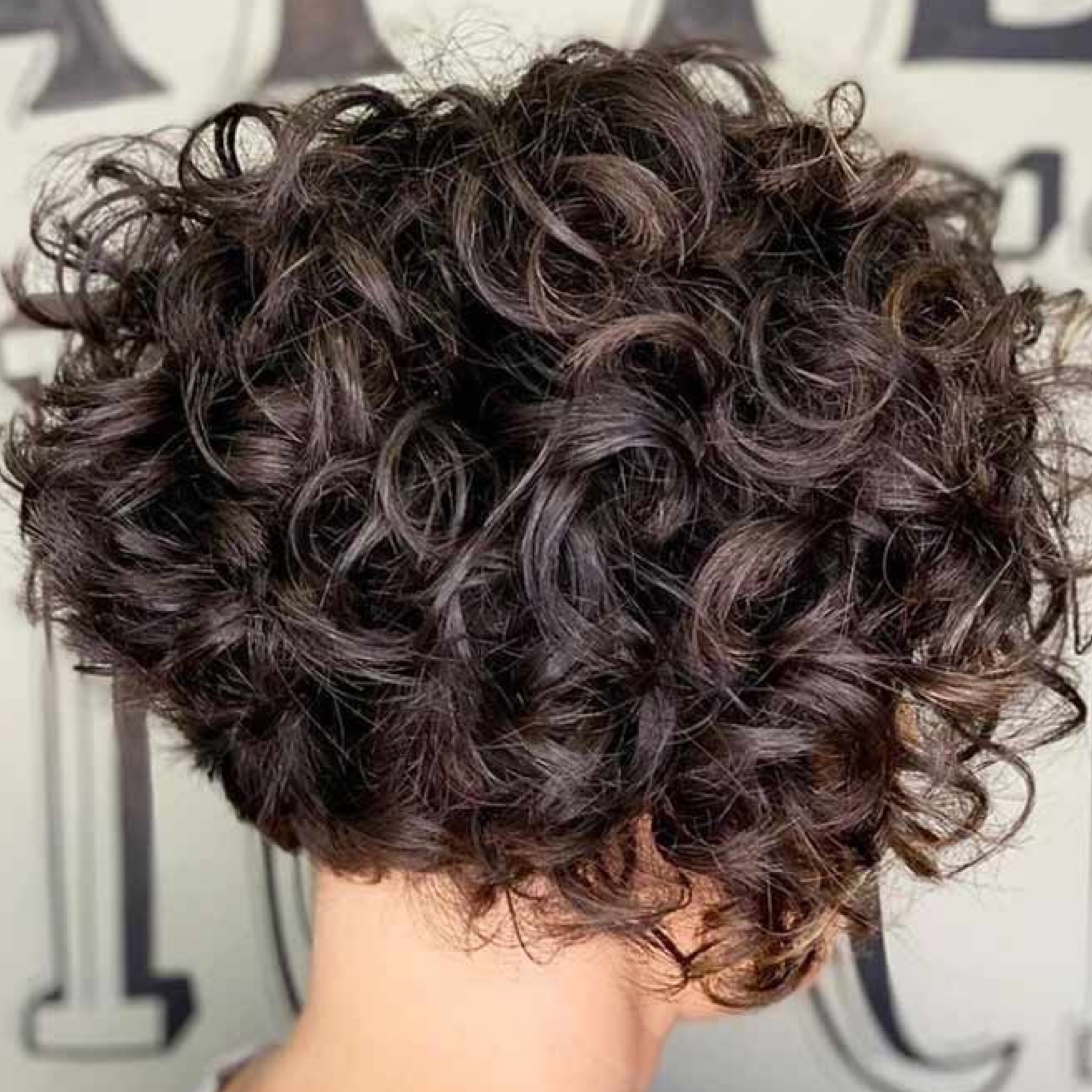 inspiração corte feminino curto cacheado