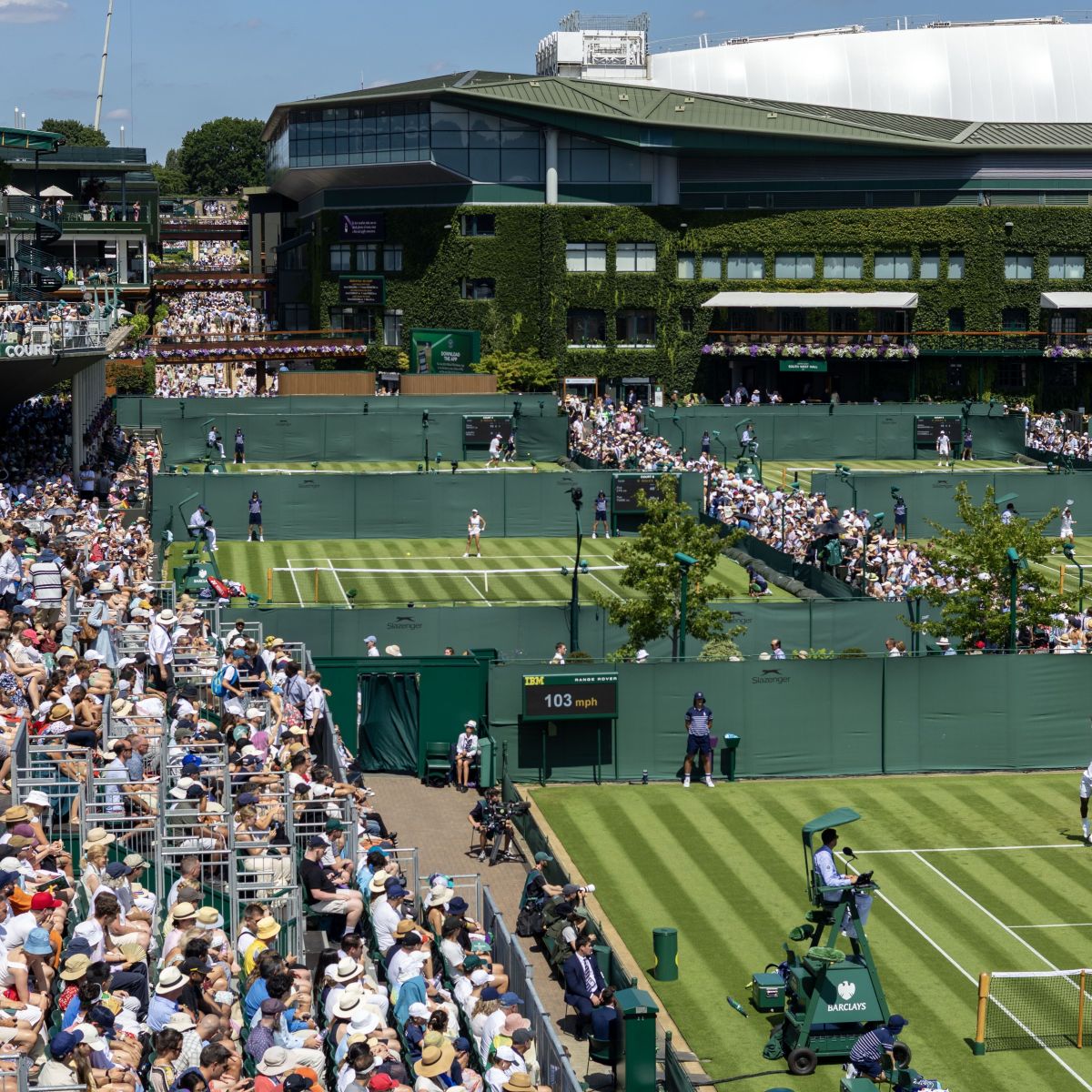 A Grama Sagrada de Wimbledon: O Segredo dos 8 Milímetros e Suas Listras