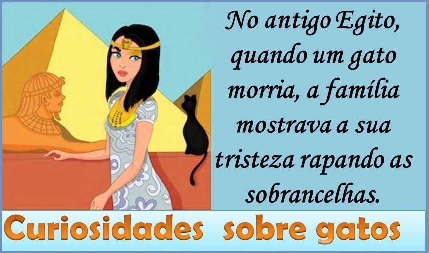 curiosidades sobre sobrancelhas