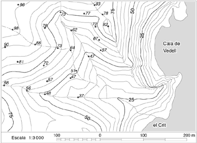 Desvendando o Mapa: Como Interpretar a Declividade do Terreno com Curvas de Nível