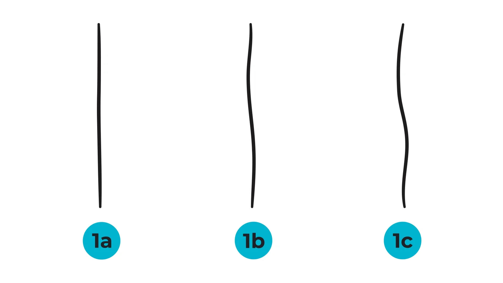 produtos para cabelo cacheado