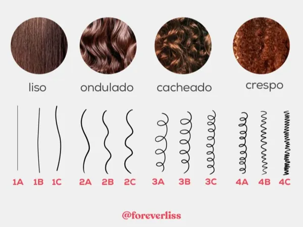 sistema de classificação de cabelo