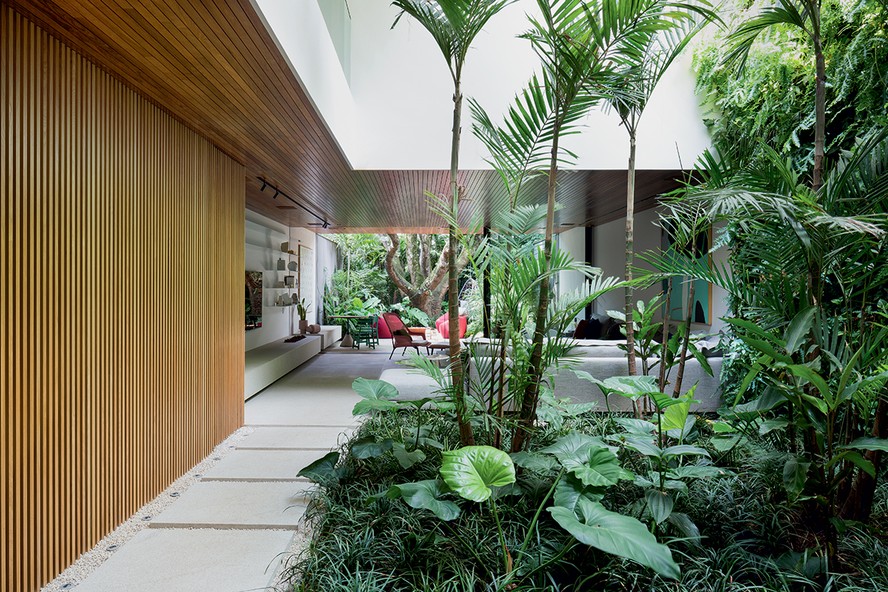 erros comuns cuidar plantas jardim inverno