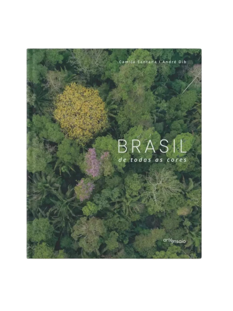 Músicas e Cores: Uma Análise da Canção 'De Todas as Cores' de Angela Ro Ro