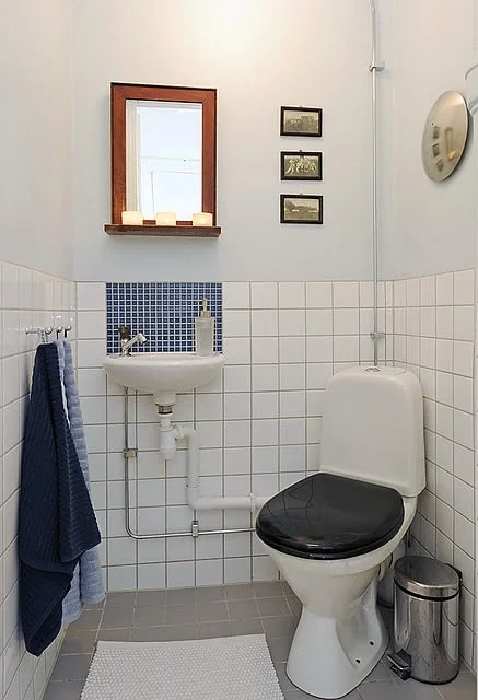 plantas ideais para banheiro pequeno e úmido