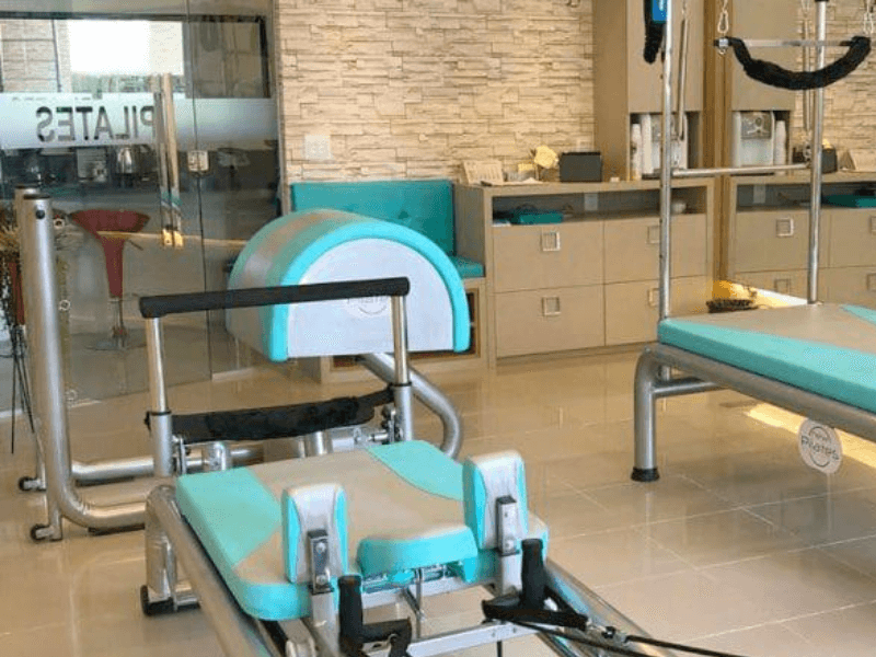 melhores plantas para studio de pilates biofilia