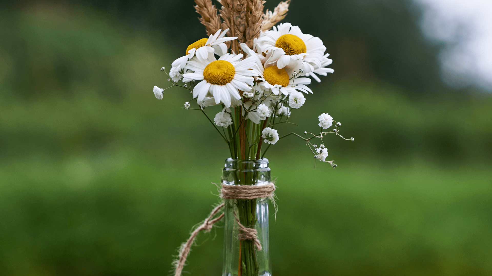 erros comuns ao pintar garrafas de vidro
