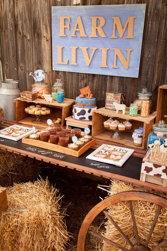 centro de mesa fazendinha com latas de leite