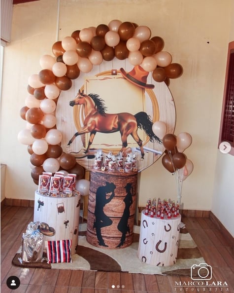 custo médio festa fazendinha completa