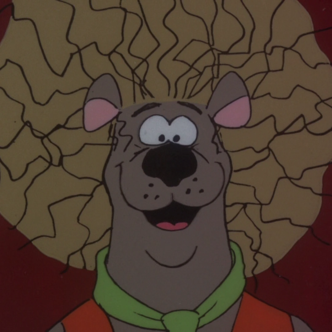 melhores momentos desenho urso do cabelo duro