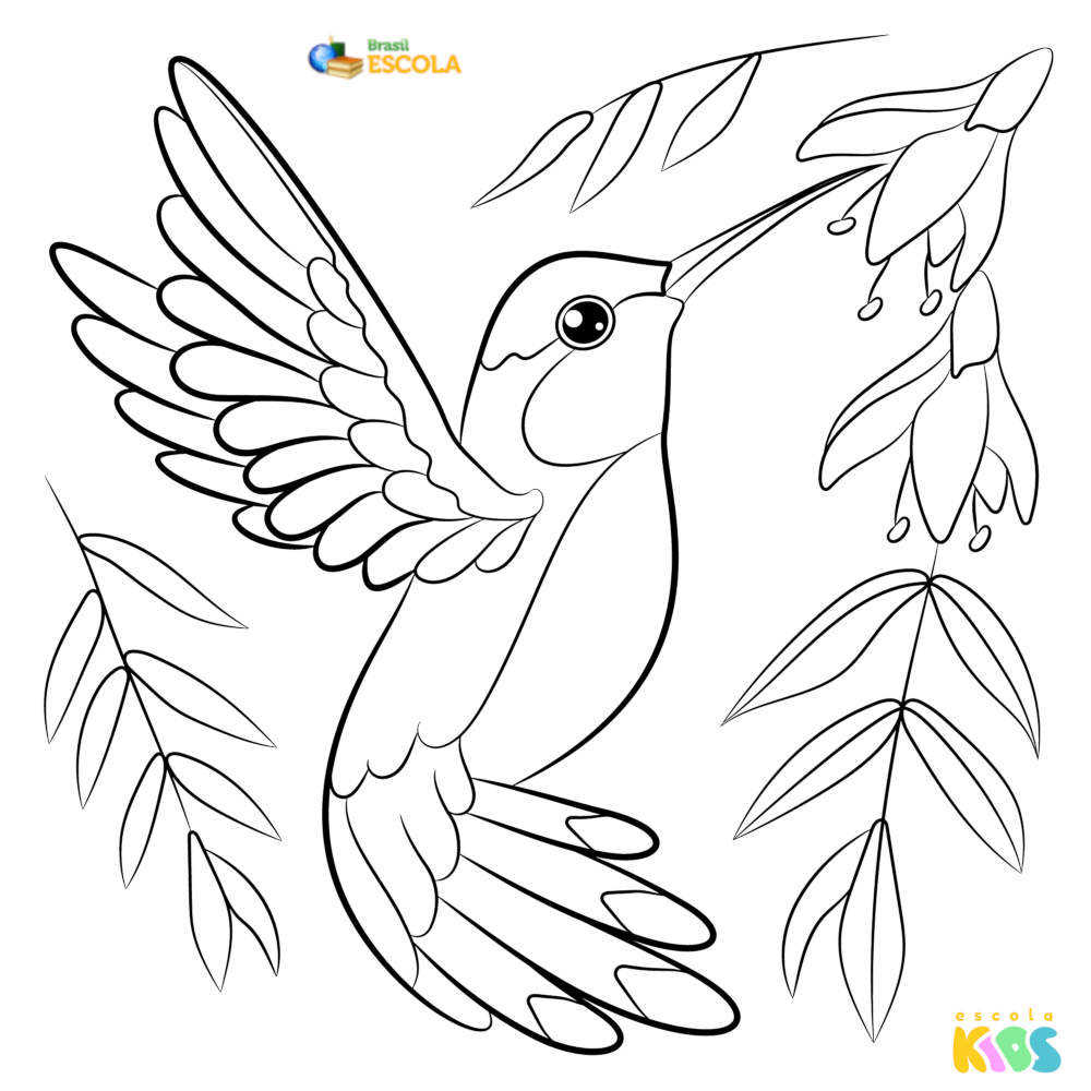 Guia Completo de Estilos de Desenho para Iniciantes