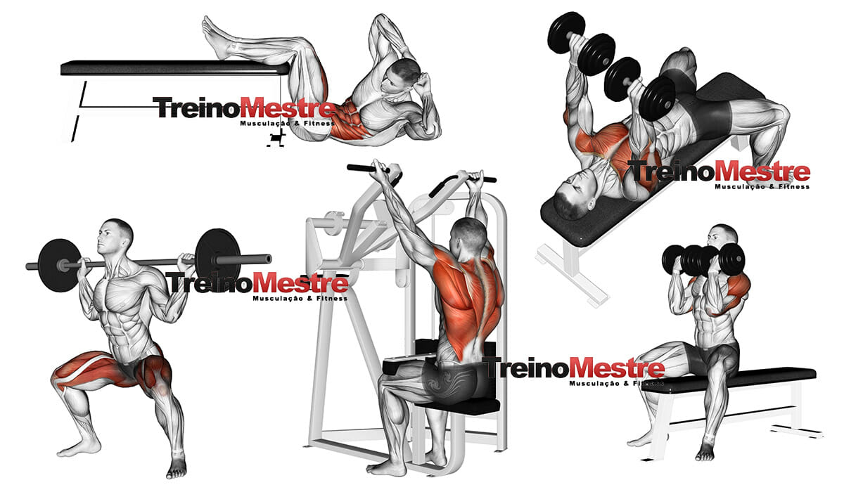 divisão de treino feminino para iniciantes em casa