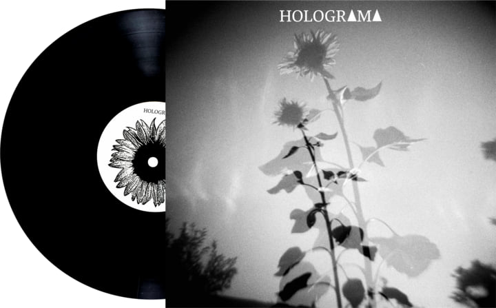 Como as Cartas Holográficas Aumentam o Valor de Colecionáveis TCG