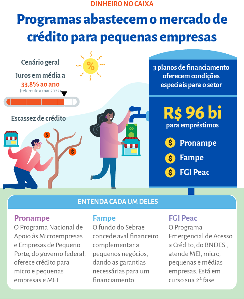 Desvendando o PRONAMPE: Tudo que Micro e Pequenas Empresas Precisam Saber