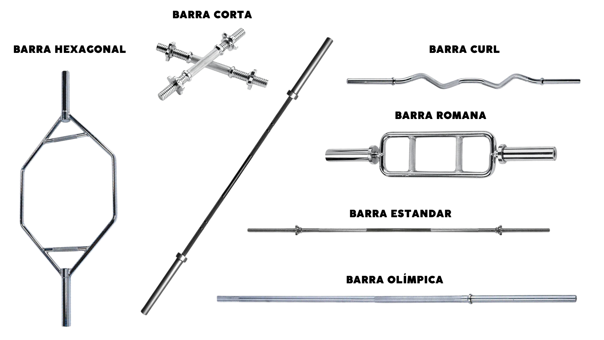 Evolução das barras de musculação