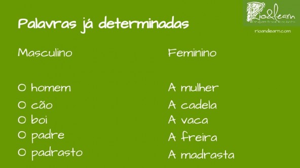 feminino masculino