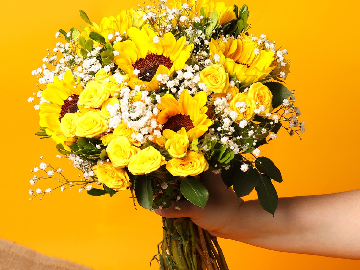 flores para decoração