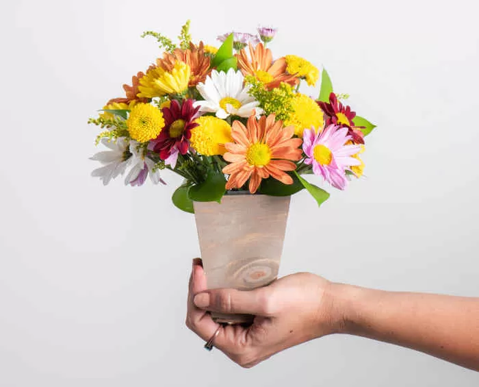 5 ideias de títulos