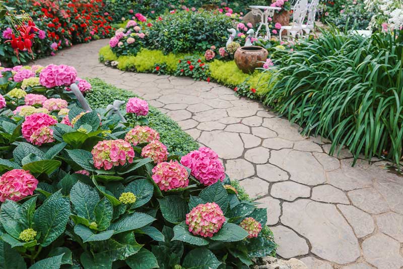 flores para jardim com sombra e que nao precisam de muita agua