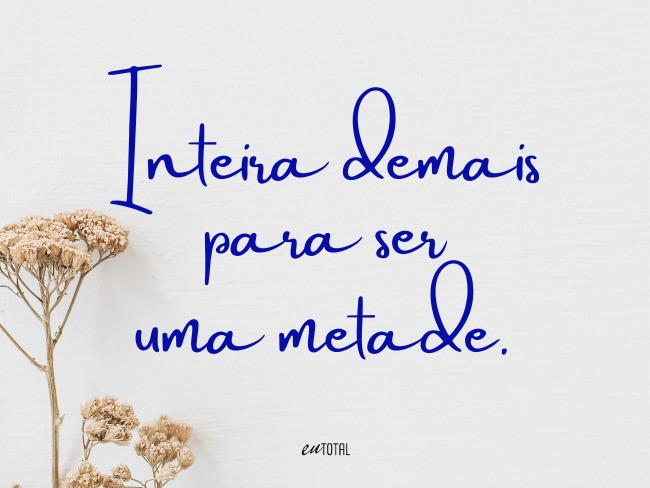 frases curtas para fotos de animais