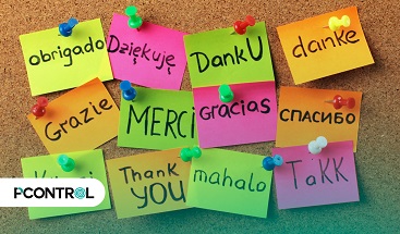 custo de um serviço de legendas personalizadas para fotos