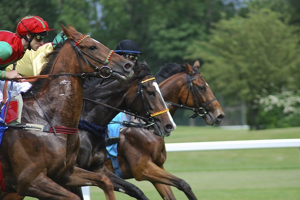 Os Maiores Cavalos de Corrida da História: Lendas do Turfe Mundial