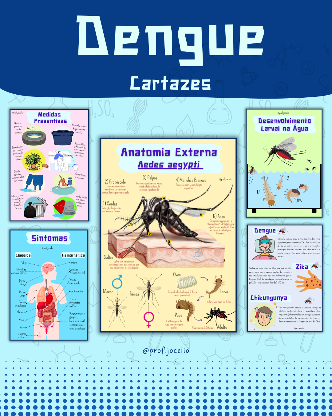 Slogans Impactantes: Frases Curtas para Combater a Dengue