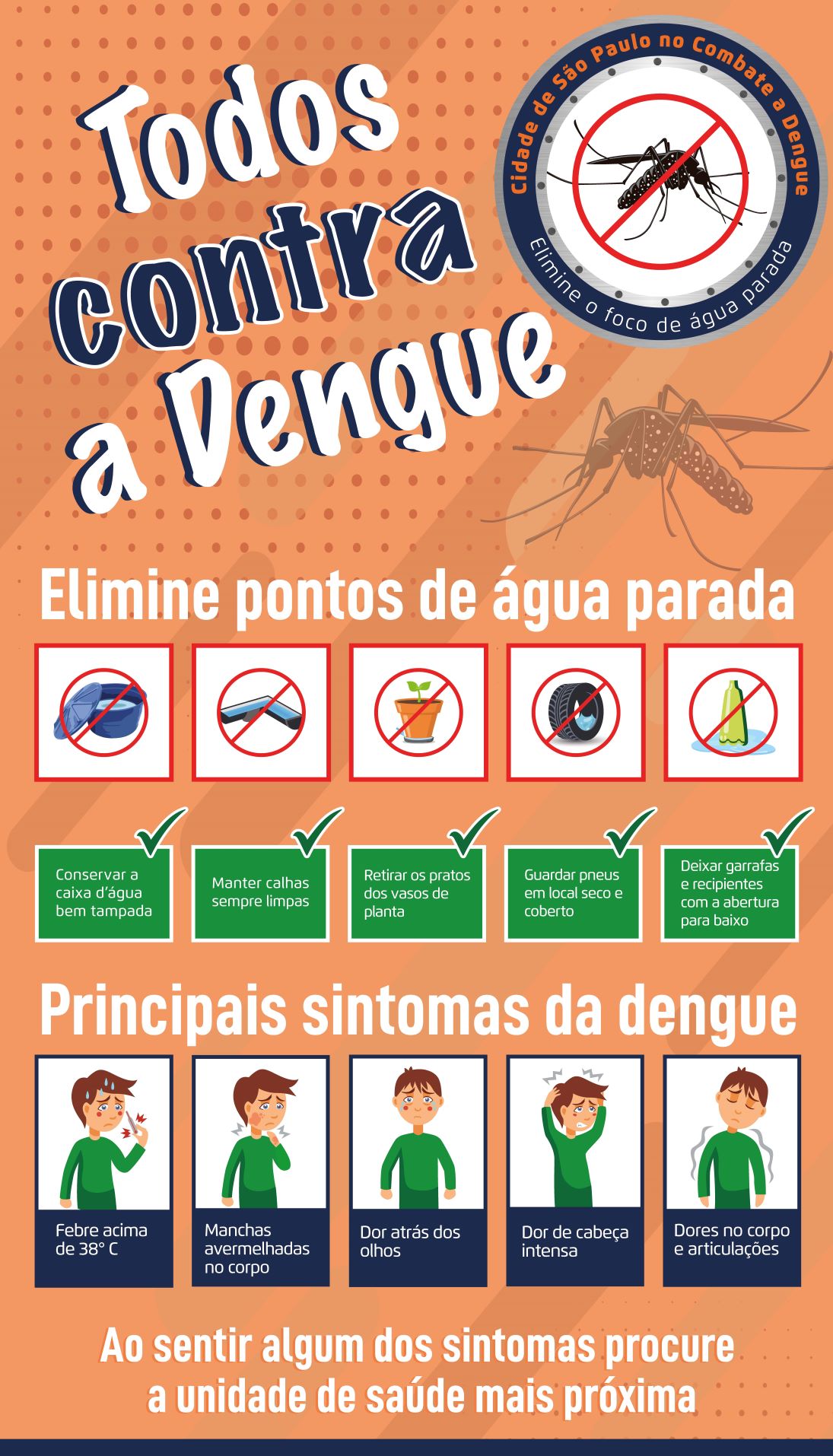 Guia Completo: Informações Essenciais para seu Cartaz Anti-Dengue