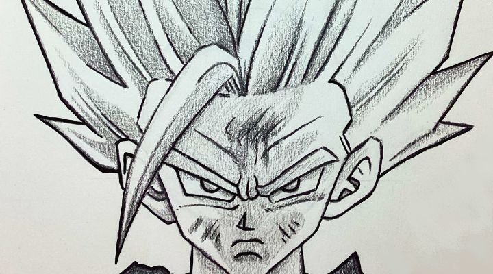 desenhos de natureza para praticar