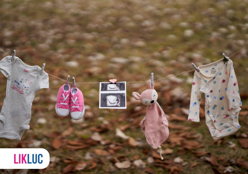 Anúncio de Gravidez com Pets: As Melhores Ideias e Frases Engraçadas