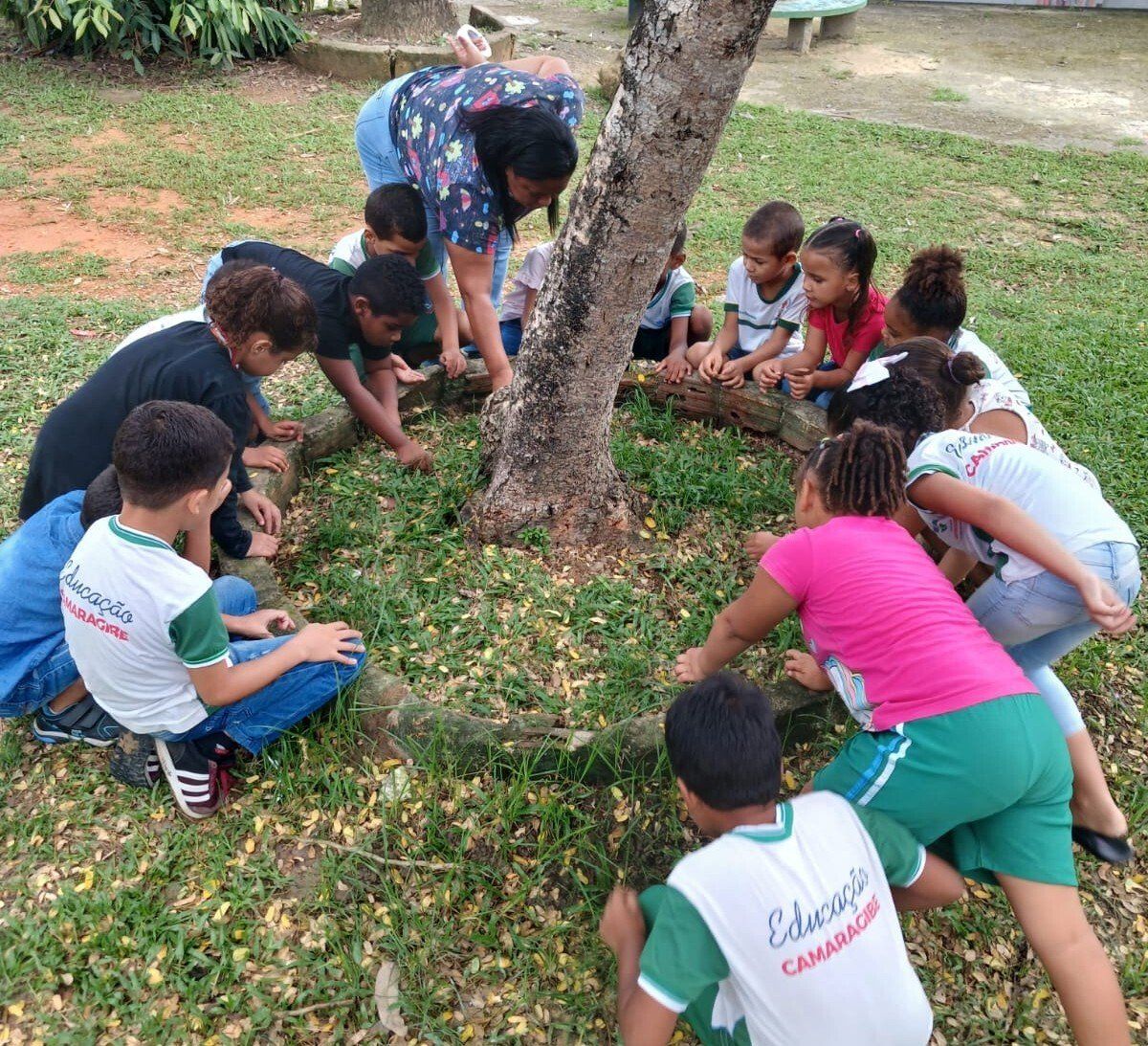 ideias projeto meio ambiente educação infantil