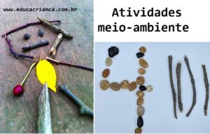 ideias projeto meio ambiente educação infantil