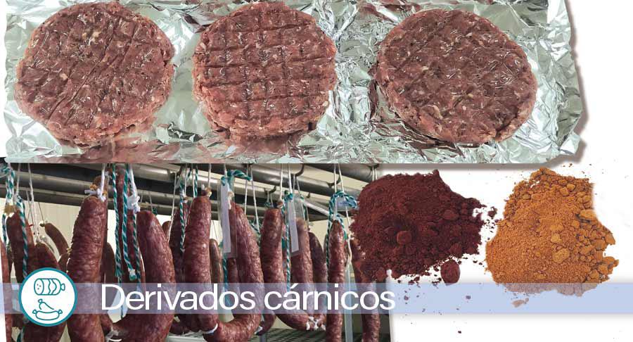 Ômega-3: O Ácido Graxo Essencial para Cérebro e Coração