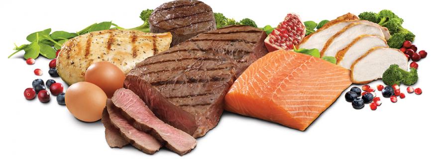 Probióticos e Fibras: O Segredo para uma Microbiota Intestinal Saudável