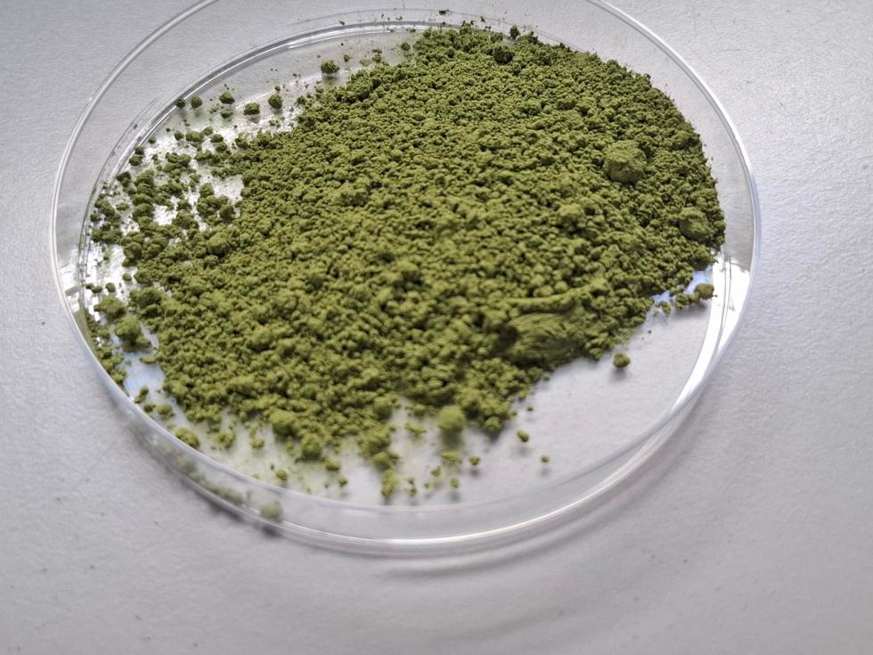 Carotenoides na Dieta: Como Proteger Sua Visão e Coração