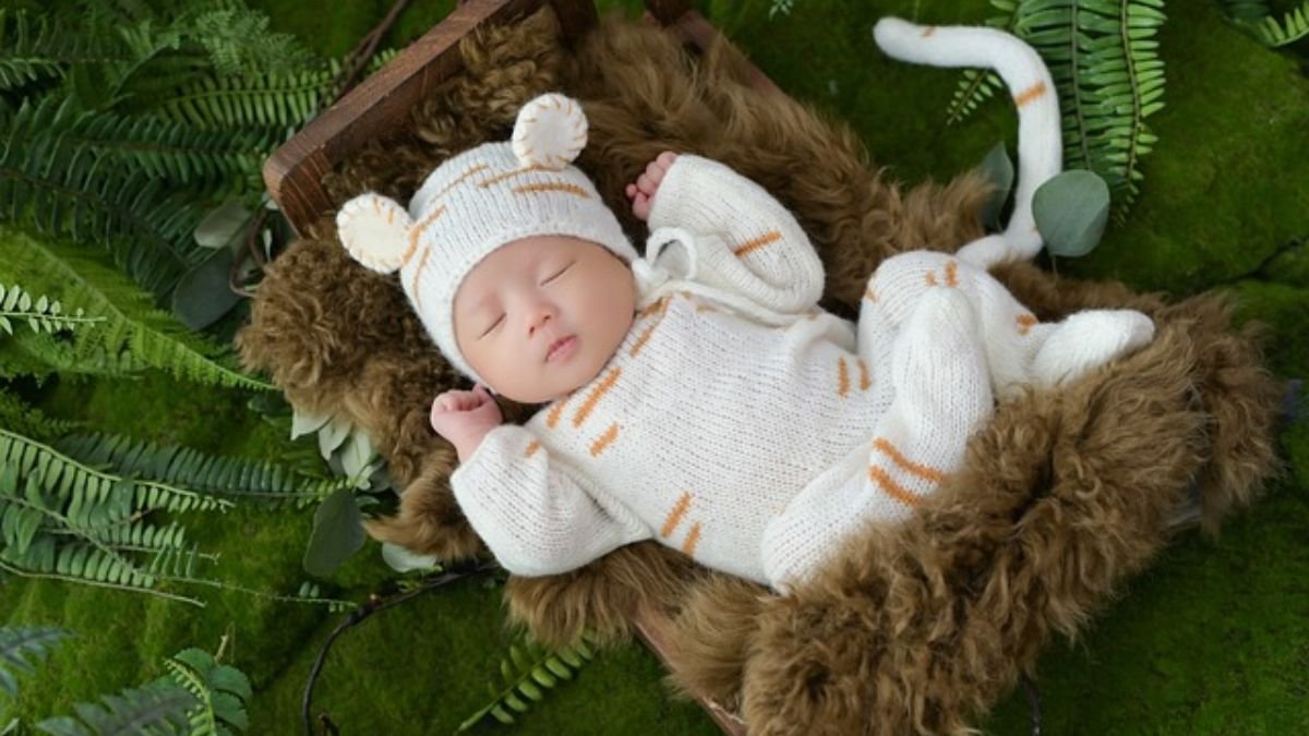 janela de sono bebê 2 anos