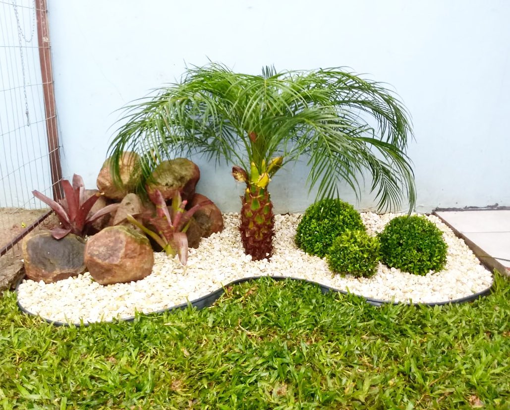 plantas ideais para jardim pequeno e simples com pouca luz