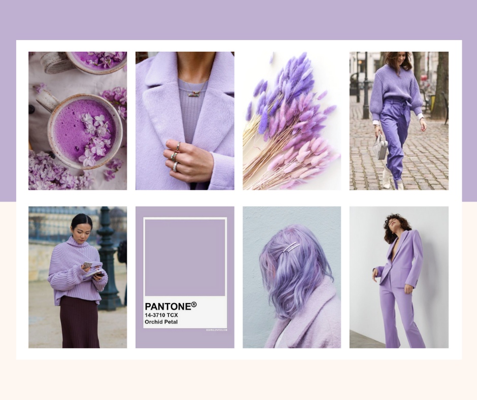 diferença lavanda e lilás