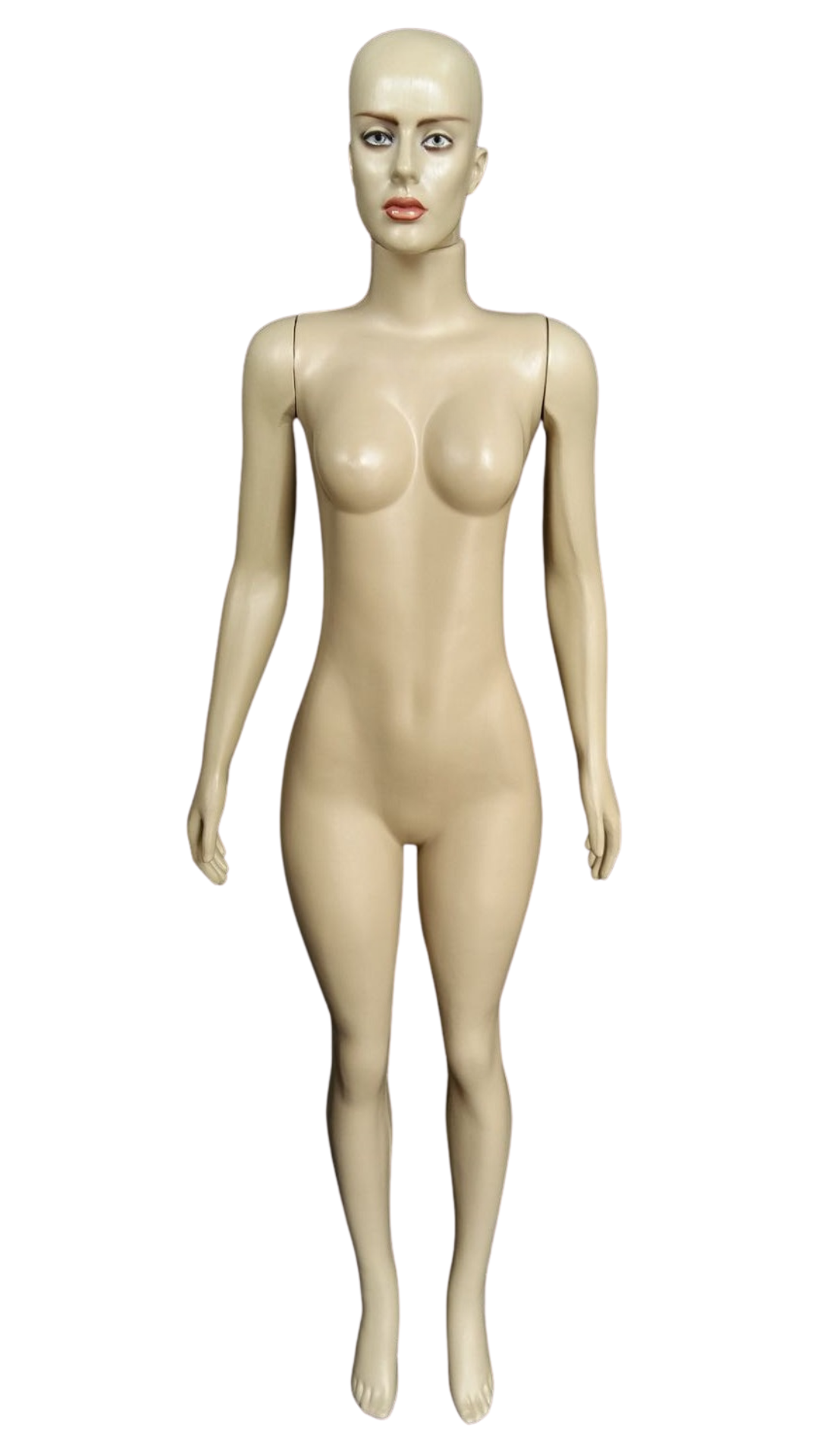 manequim feminino busto