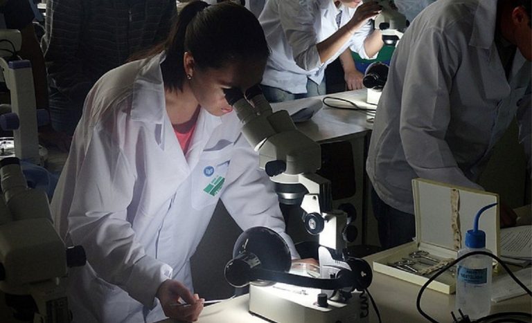 ProUni e FIES: Qual a Melhor Opção para Financiar sua Faculdade de Medicina?