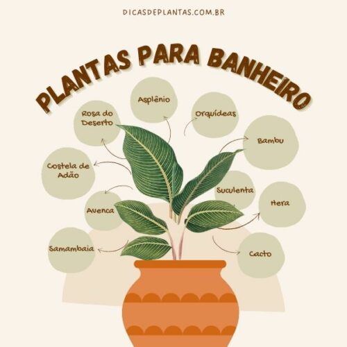 plantas morrem banheiro o que fazer