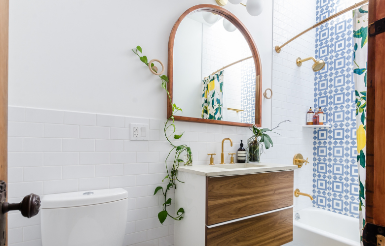 zamioculca ou espada de sao jorge para banheiro