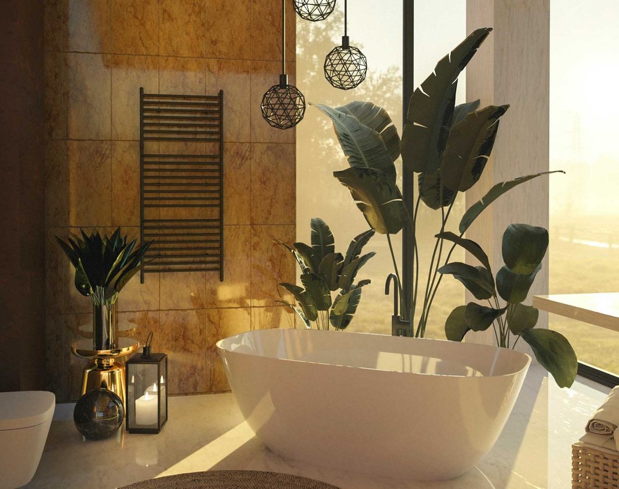 zamioculca ou espada de sao jorge para banheiro