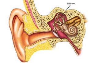 De Meninices da Vida ao Pinterest: Como os Blogs Moldaram o Lifestyle Digital