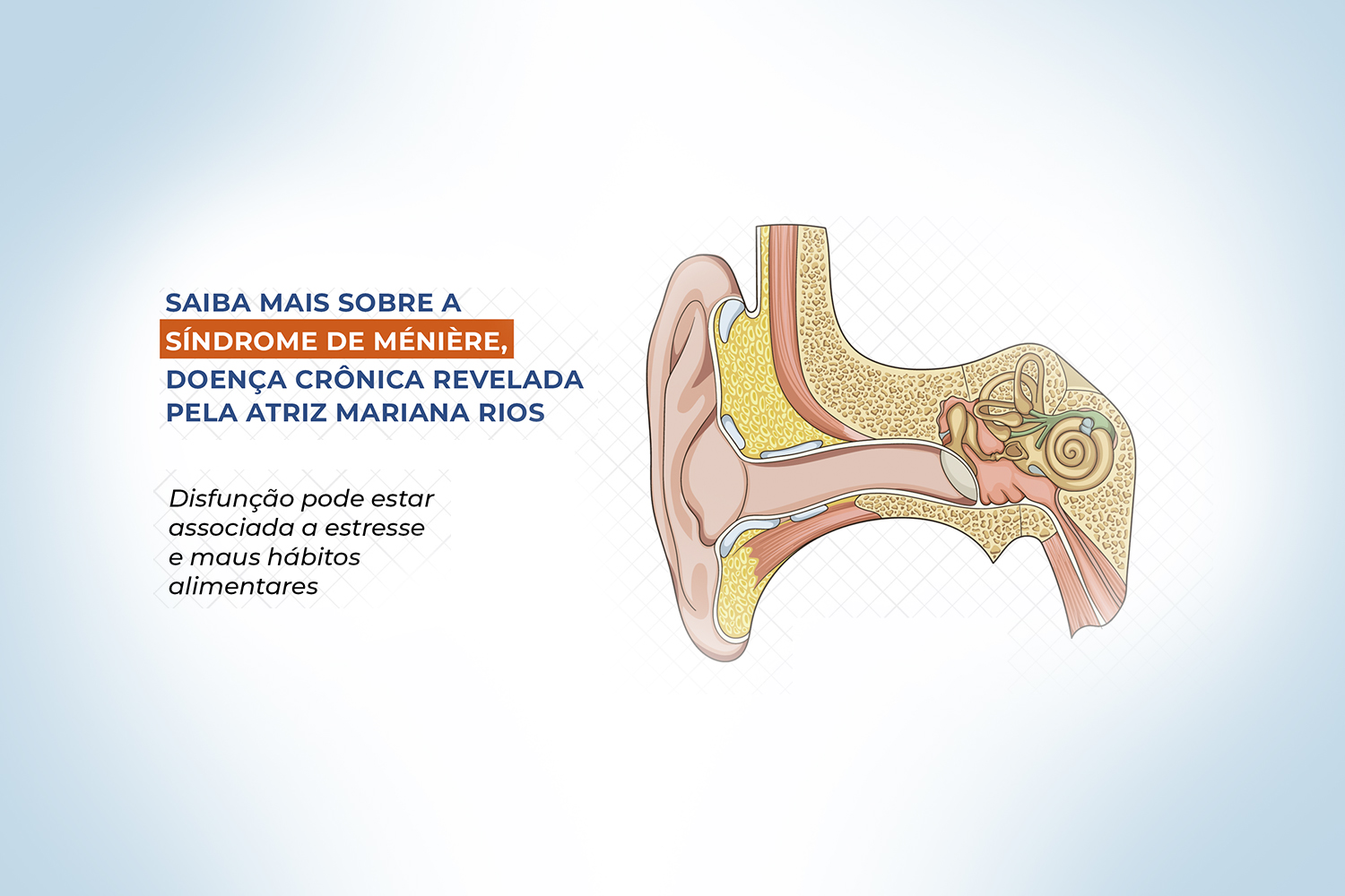 Relembrando os Temas de Meninices da Vida: Moda