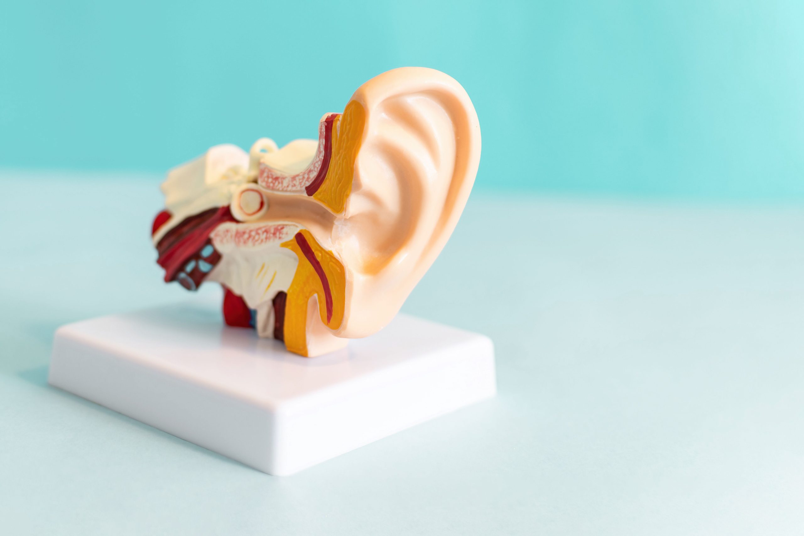 A Influência dos Blogs de Moda nos Anos 2010: O Caso Meninices da Vida