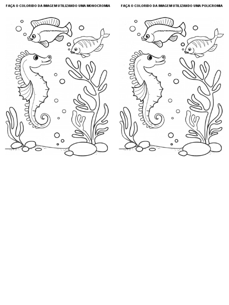 monocromia vs policromia qual escolher